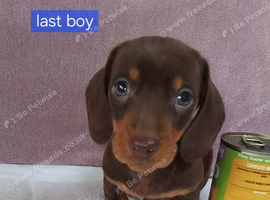 PRA, HEALTH CHECKED, LAST BOY LEFT NOW