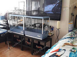 3 cages new and stands