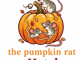 rat boarding