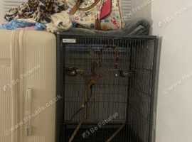 Bird cage