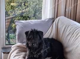 Super scruffy Tim