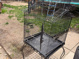 Black bird cage