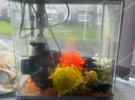 Small fish tank