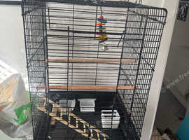 bird cage