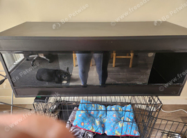 Vivariums and accesories