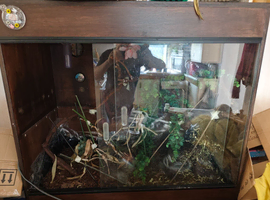 Reptile large enclosure