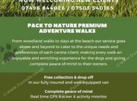 Adventure Dog Walks