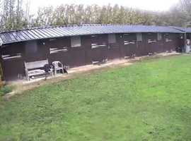 Stable and grazing