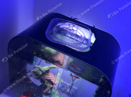 Fish tank for sale