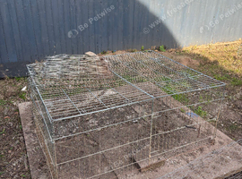 Large Rabbit/gunieapig run