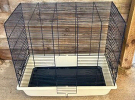 Bird cage for sale