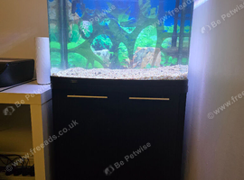AquaStyle620 fish tank