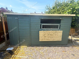 Bird room/ pigeon loft