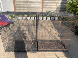 Birds cages