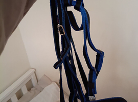 Libby's pony webbing bridle and reins new