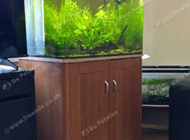250litre magnified glass tank with storage cabinet