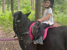 Stunning pony for full or part loan near otley
