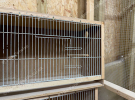 Single breeding cage for budgies and small birds