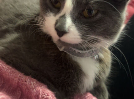 1 year old girl