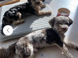 Seeking A Dam&hellip;.