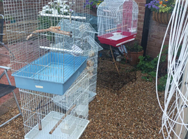 Bird cages for sale