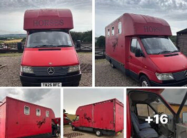 3.5 ton mercedes horse box