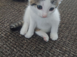 For sale