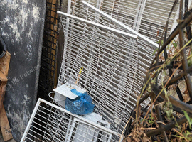Parrot cage for sale