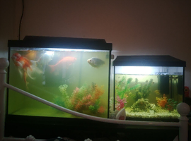 2 fish tanks for sale