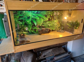 Vivarium LARGE 4ft x 2ft x2ft with electrics