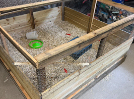 Wooden chick brooder and full set up