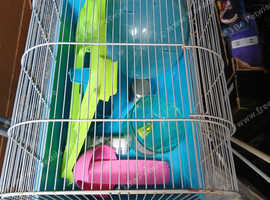 Hamster cage are sml Animal cage