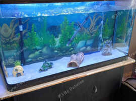 Fish tank with 2 fluvel external filters and stand