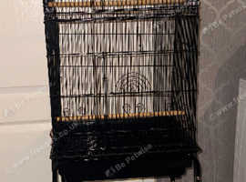 Bird cage