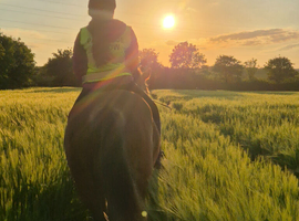 Equestrian Nanny