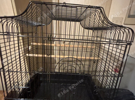 Bird cage