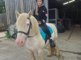 First pony, bombproof, allrounder