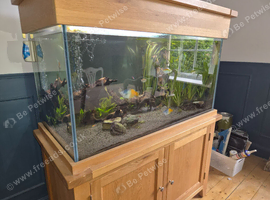 Large tropical oak cabinet fish tank and accessories