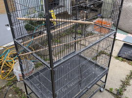 Large bird cage