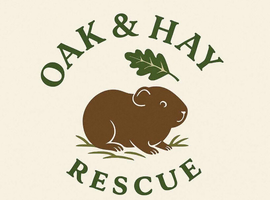 Guinea Pig Rescue