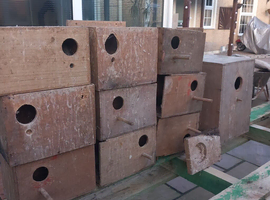 Budgie / cockatiel boxes ,drinkers feeders canary double breeders ect