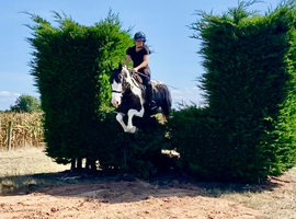 Super fun cob