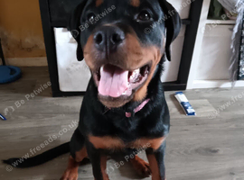 5 month old