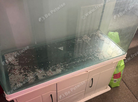 Fish tank and stand