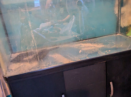 300 litre fish tank