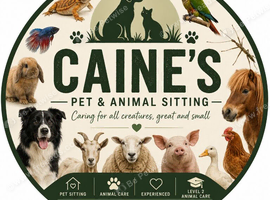 Caine pet sitting buissness