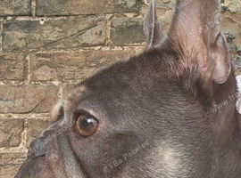 3 yr old boy