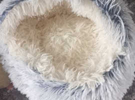 Cat bed.