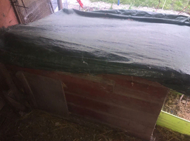 NEST-BOX AVAILABLE !