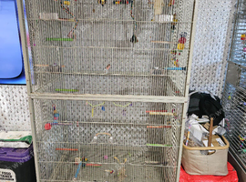 Xl very tall bird cage for sale